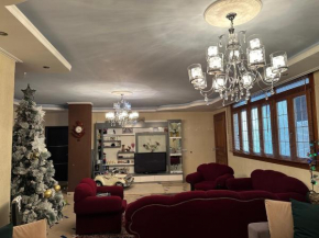 Vila Mani